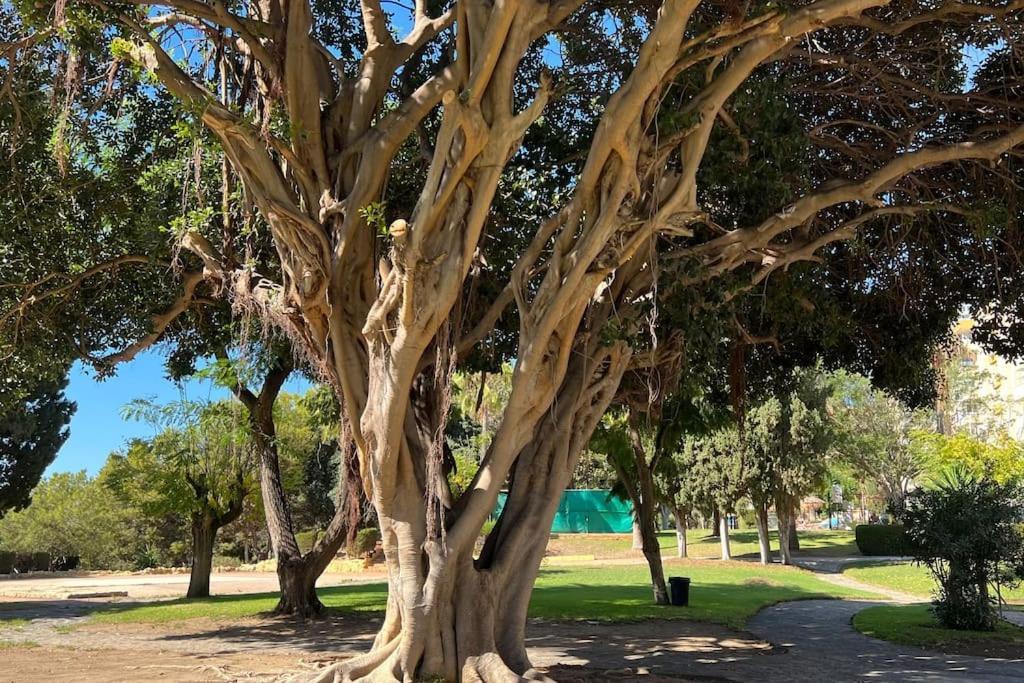 Estudio Aguila Con Vistas Al Mar Benalmádena Εξωτερικό φωτογραφία
